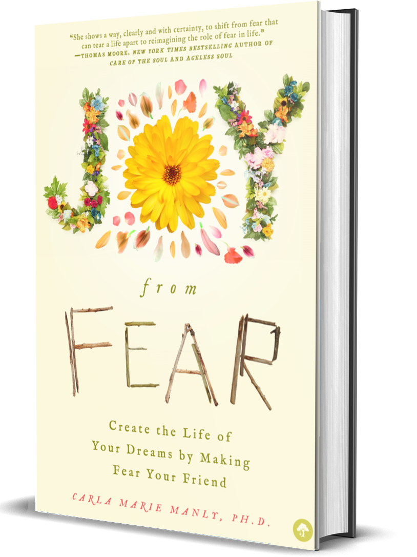 Joy From fear - Create the life of your dreams by Making fear your friend