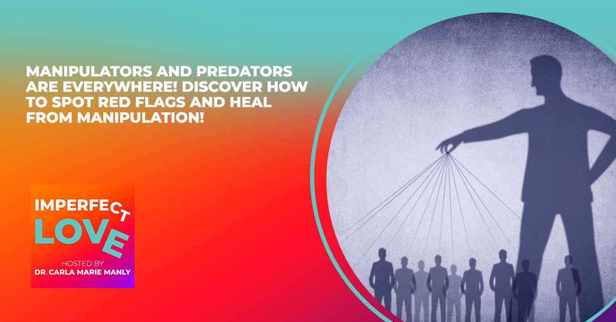 Manipulators and Predators are Everywhere! Discover How to Spot Red Flags and Heal from Manipulation!